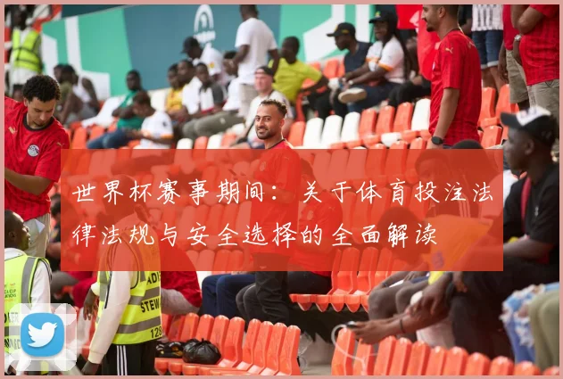 世界杯赛事期间：关于体育投注法律法规与安全选择的全面解读
